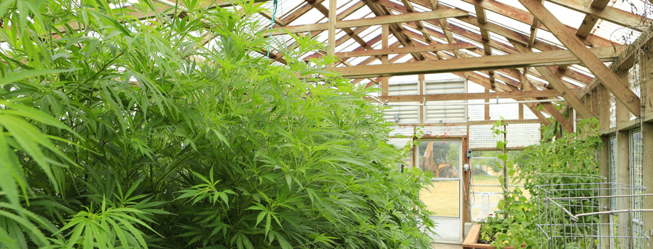 Security Solutions for Apartments in Gibbon, NE